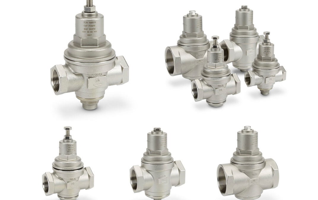 Cat Pumps Inlet Pressure Regulators in Florida